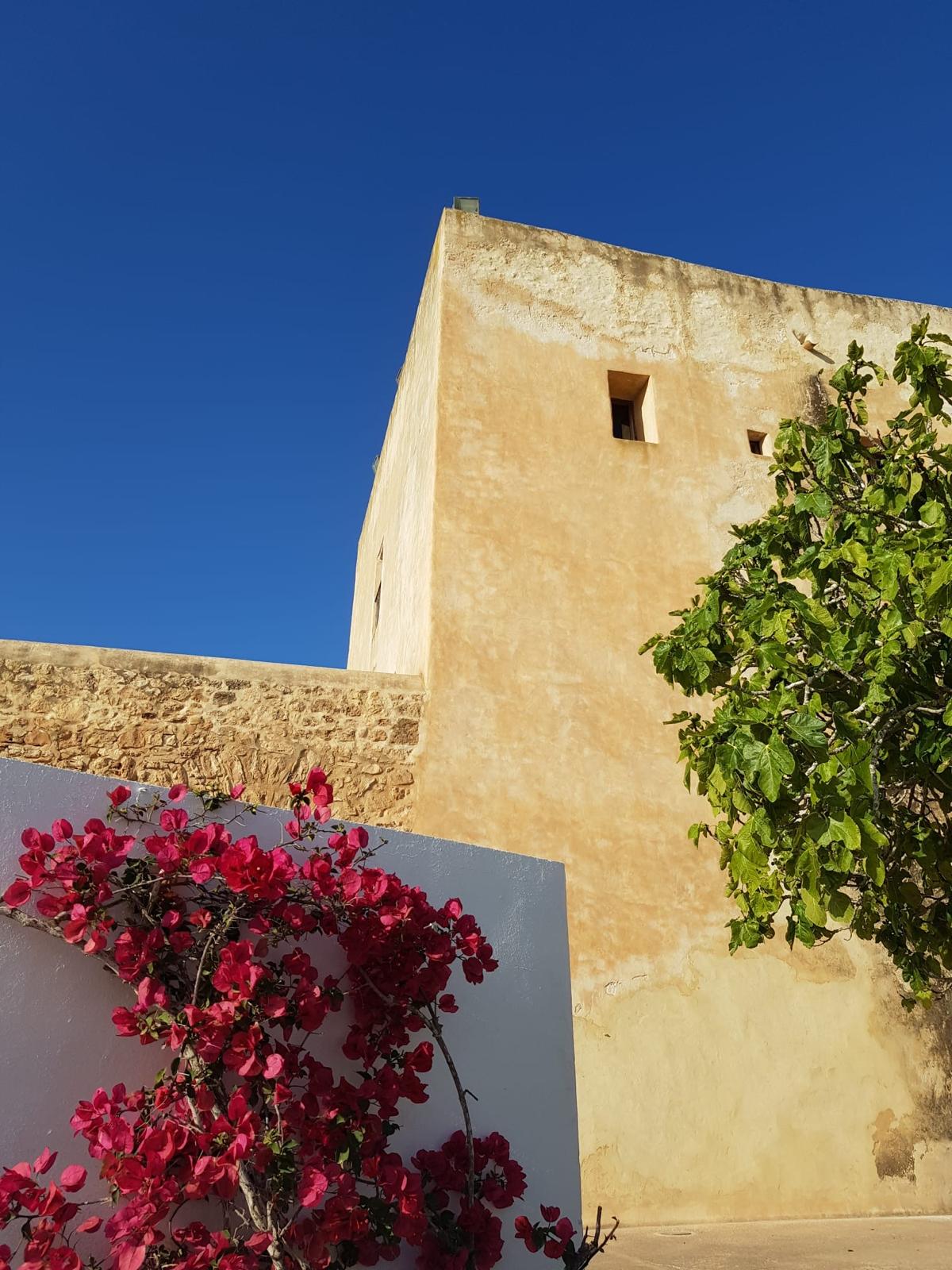 Reformes i manteninents